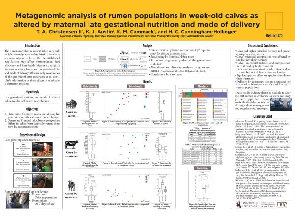 Thumbnail of thumbnail.jpg