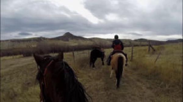 Thumbnail of thumbnail.jpeg