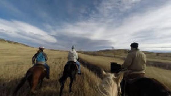 Thumbnail of thumbnail.jpeg