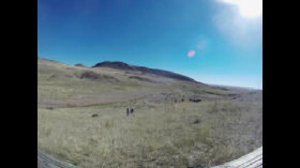 Thumbnail of thumbnail.jpeg