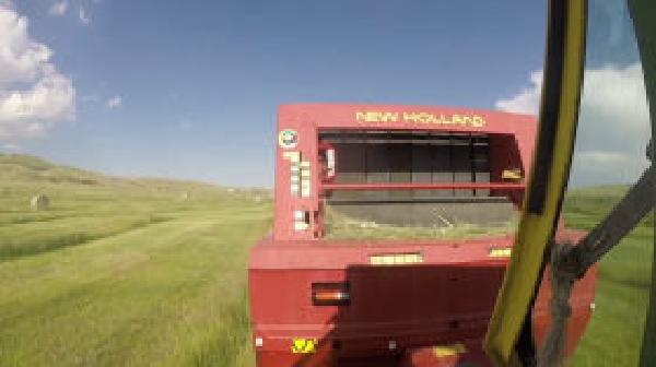 Thumbnail of thumbnail.jpeg