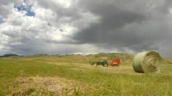 Thumbnail of thumbnail.jpeg