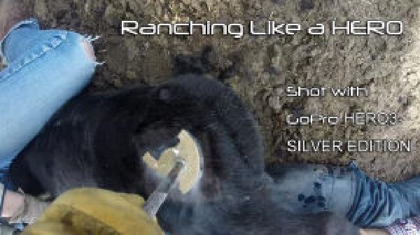 Thumbnail of thumbnail.jpeg